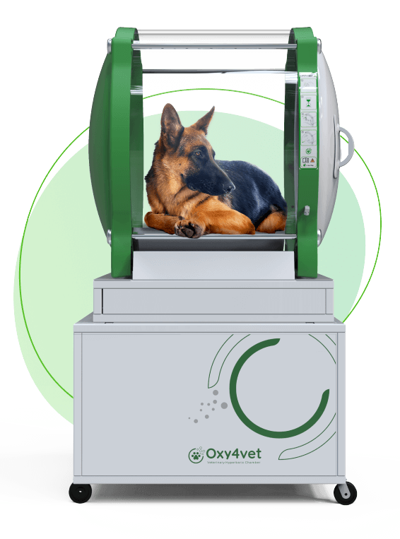 Oxy4Vet